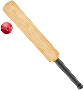 Cricket bat PNG-76760